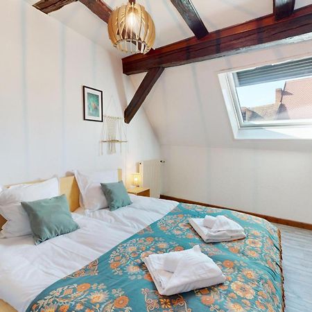 Le Petit Chez Vous Apartment Colmar Bagian luar foto