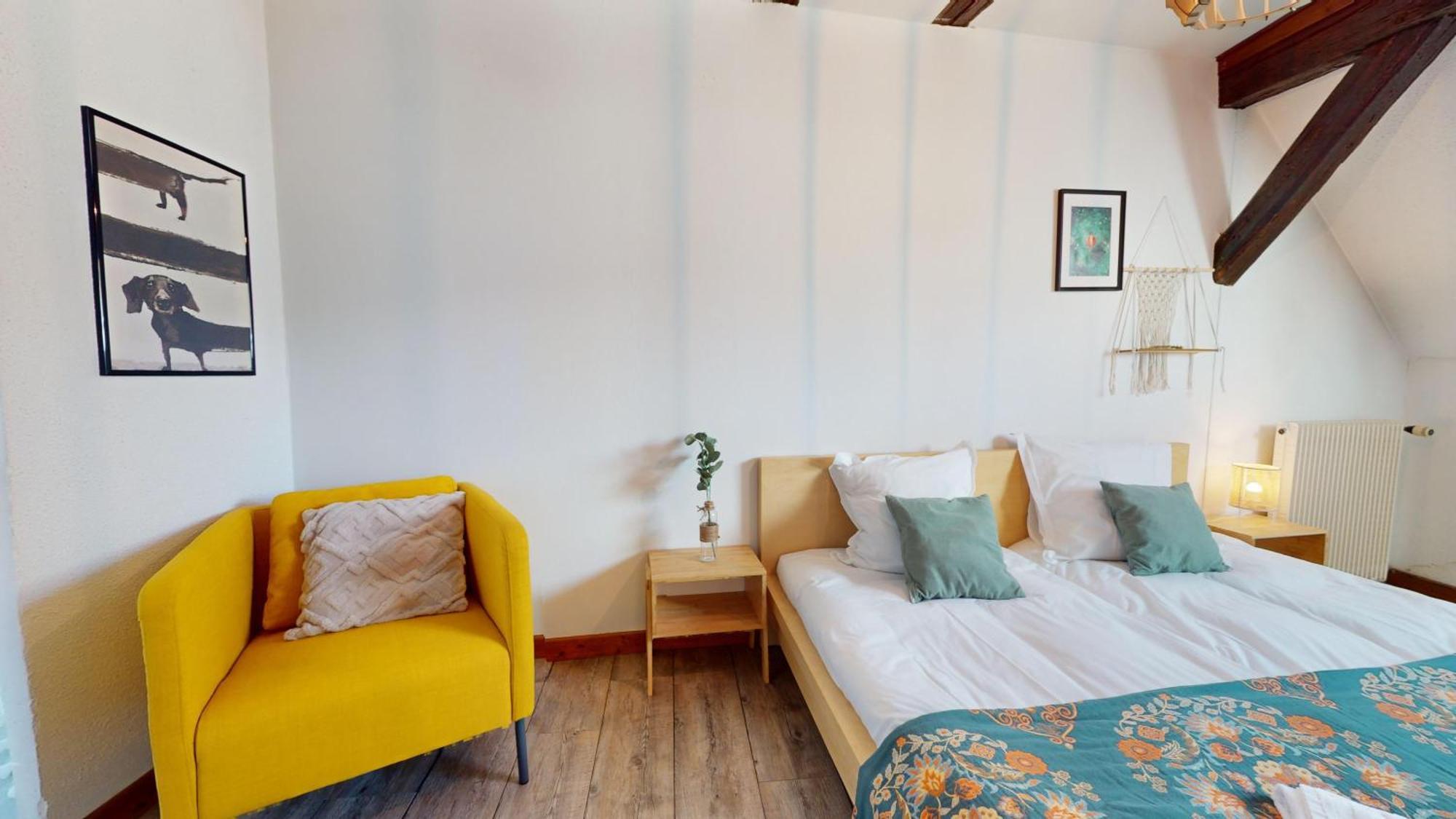 Le Petit Chez Vous Apartment Colmar Bagian luar foto