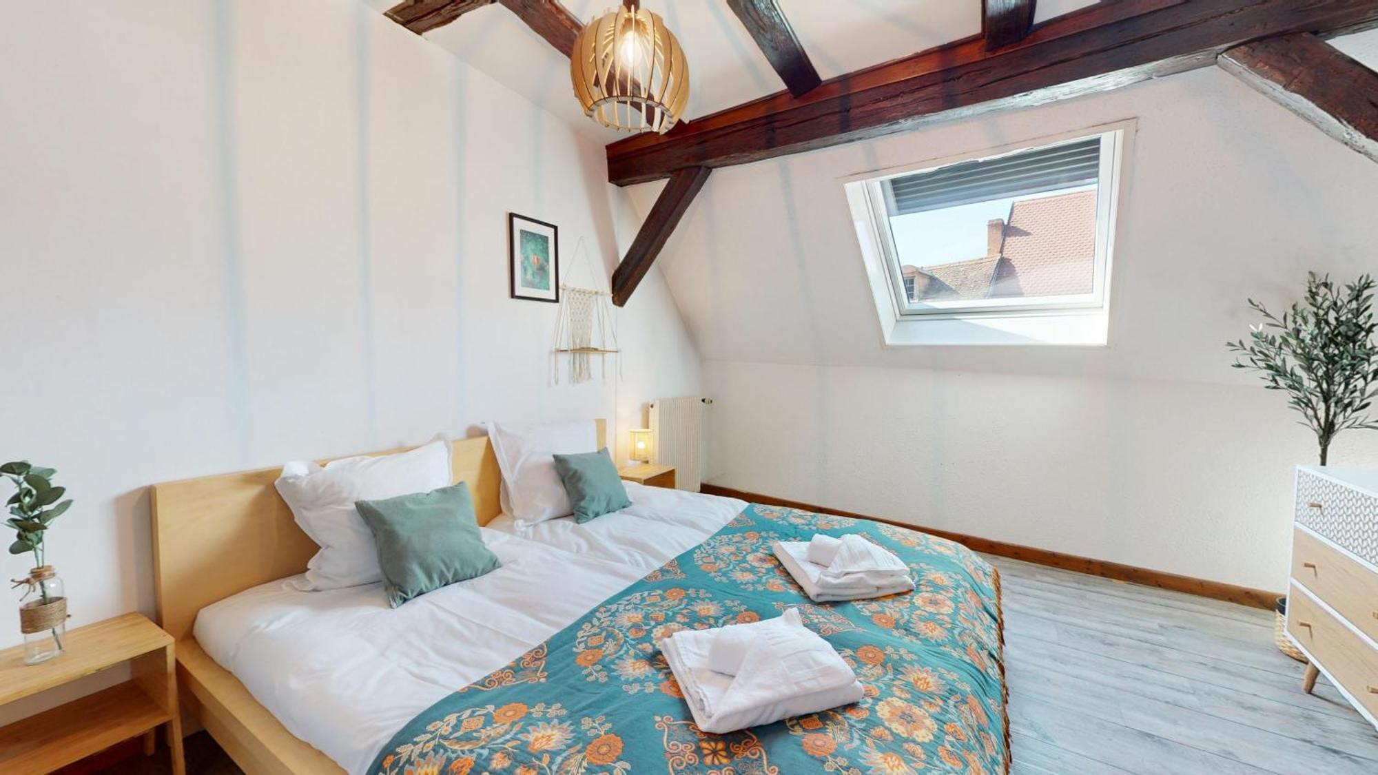 Le Petit Chez Vous Apartment Colmar Bagian luar foto