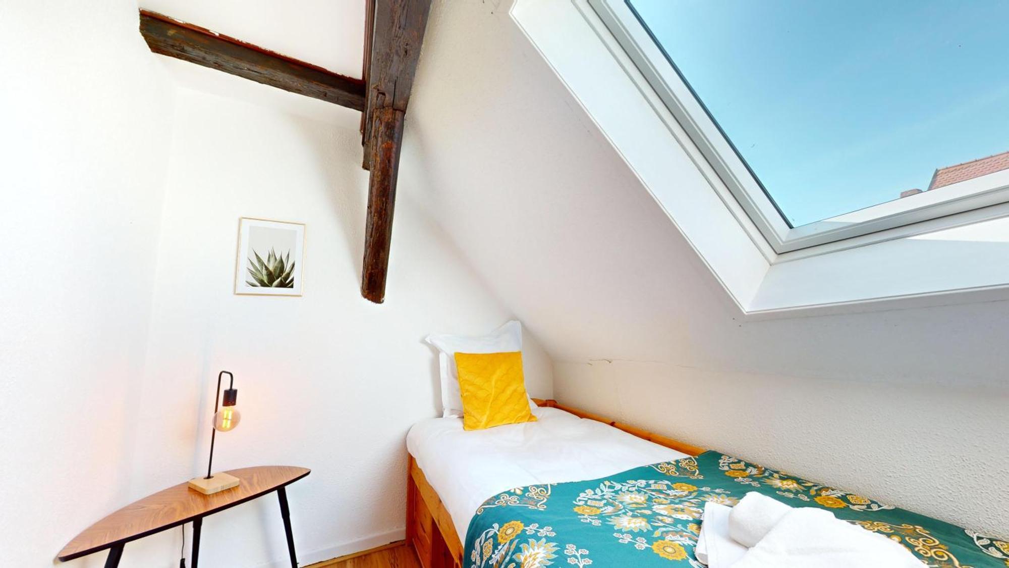 Le Petit Chez Vous Apartment Colmar Bagian luar foto