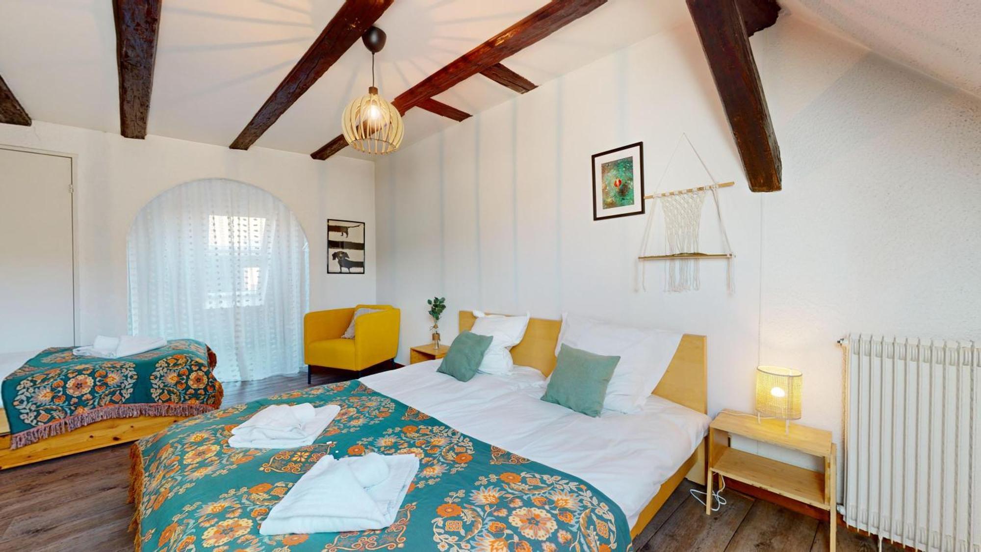 Le Petit Chez Vous Apartment Colmar Bagian luar foto