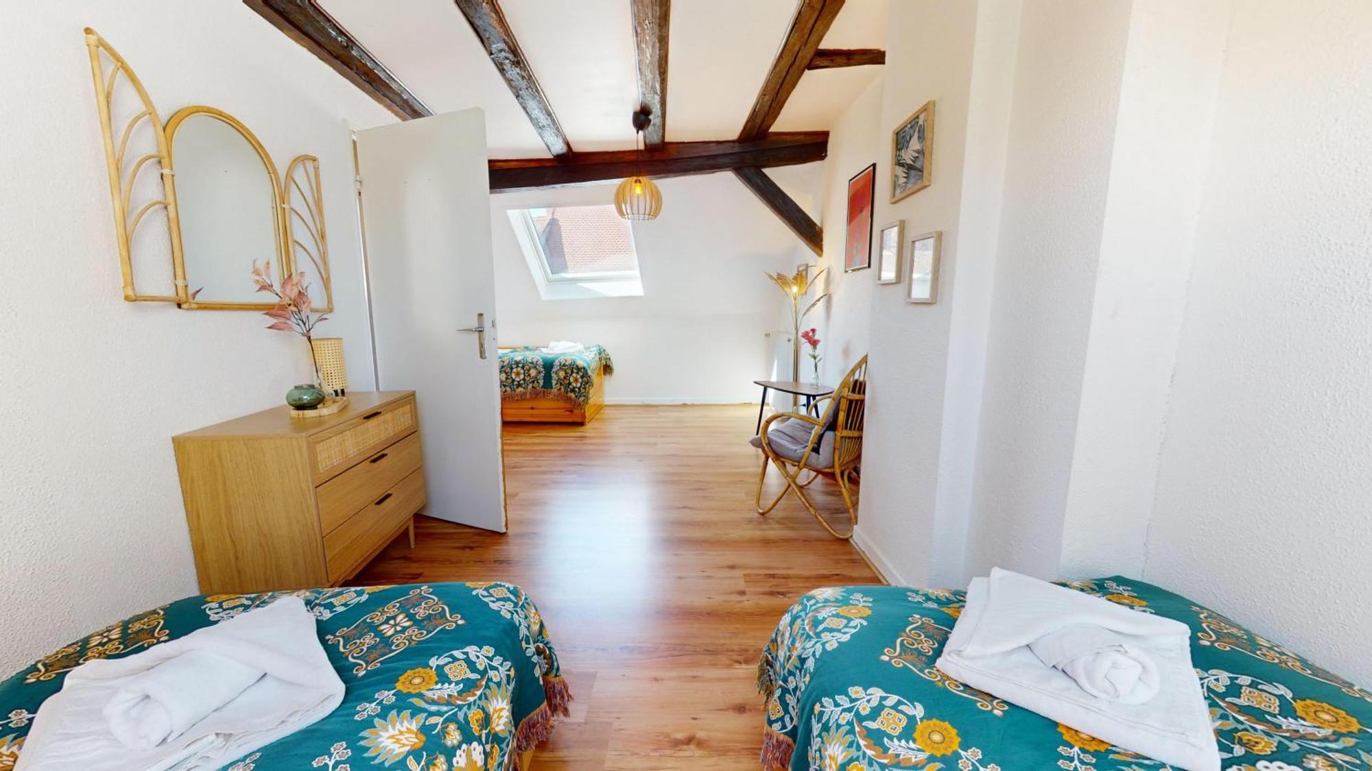 Le Petit Chez Vous Apartment Colmar Bagian luar foto